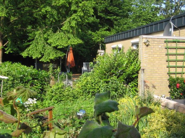 Ferienhaus "Pusteblume" Bad Zwischenahn Buitenkant foto